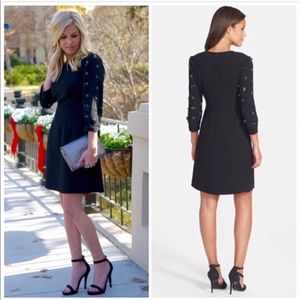 NWT Cynthia Steffe Emilia Dress